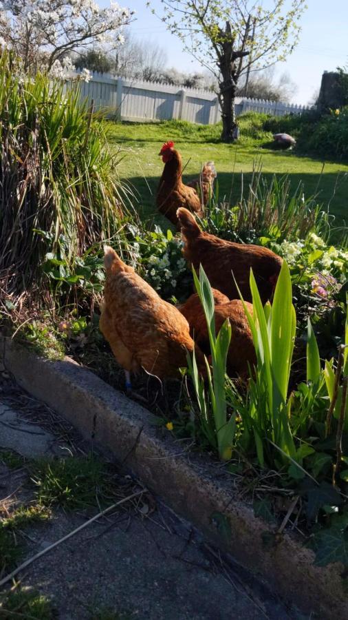 Morland Bed & Breakfast Burrowbridge Dış mekan fotoğraf